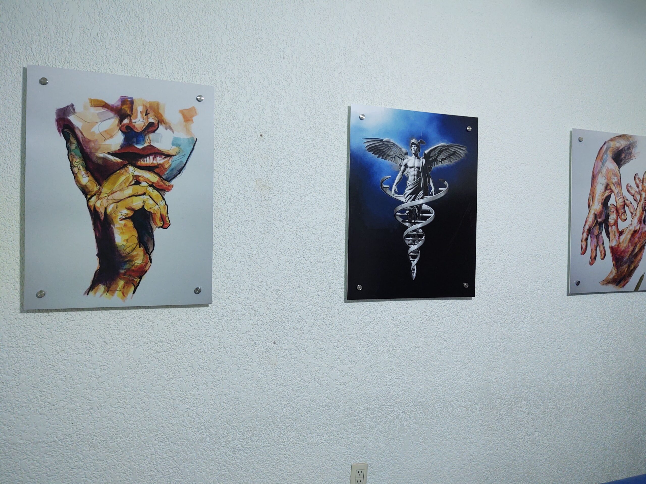Cuadros con gráficos anatómicos y símbolo médico montados en un muro con separadores metálicos.